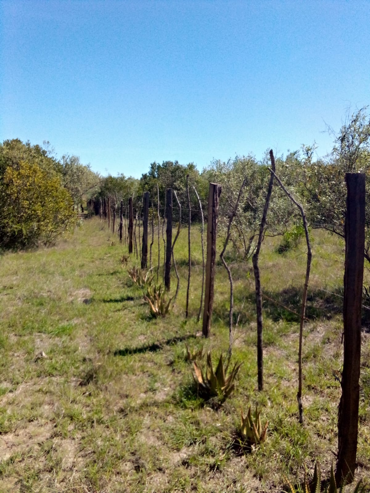 Land for sale in Laikipia East