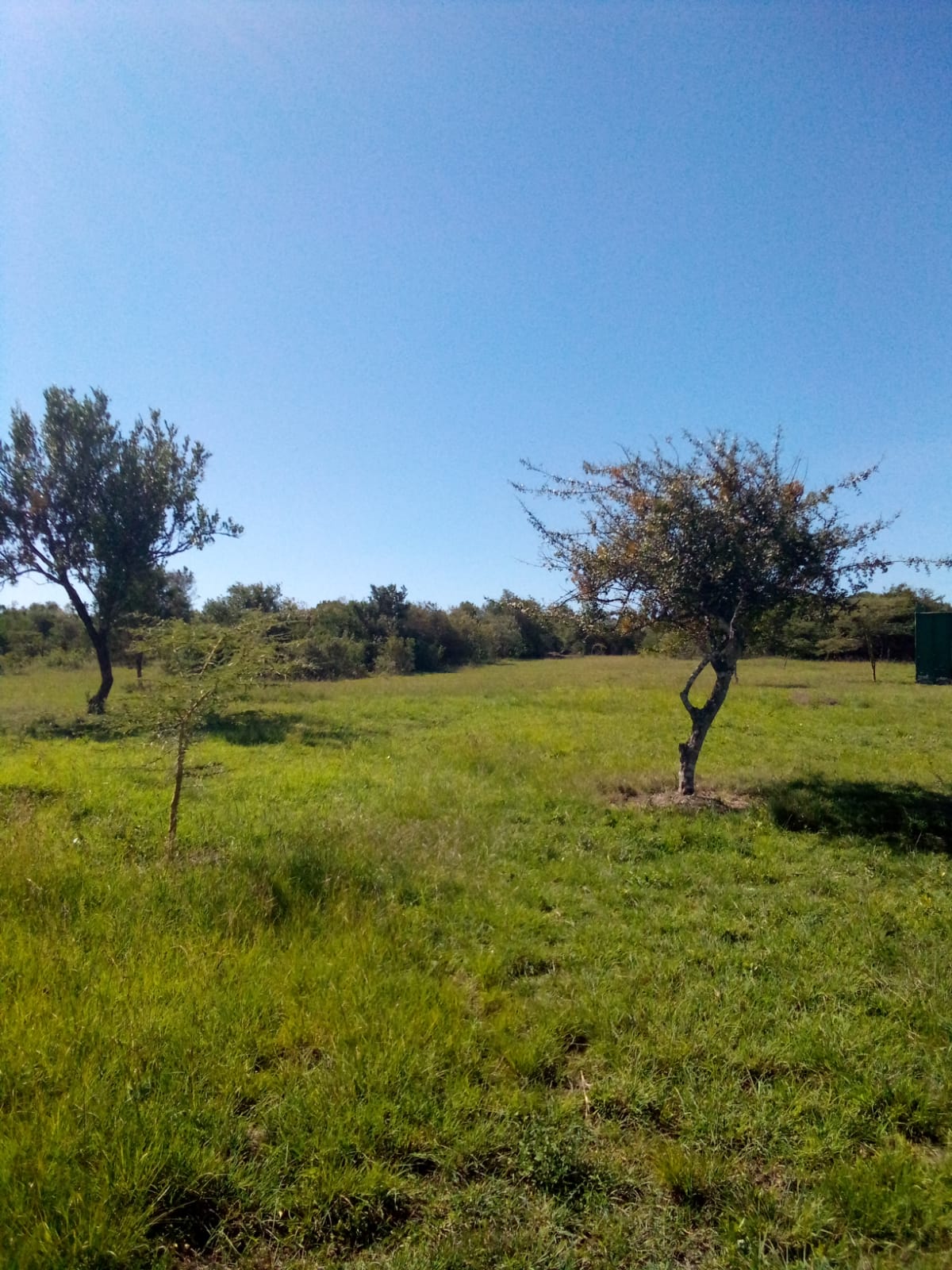 3 Acres of land for sale in Laikipia East