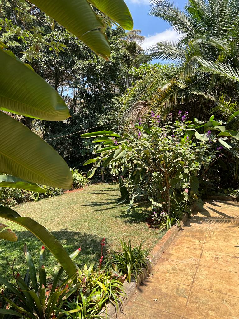 2Br furnished apartment in Runda
