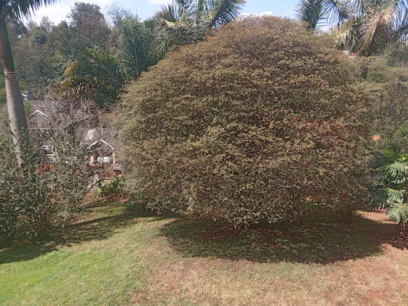 5Br house available in Kitsuru
