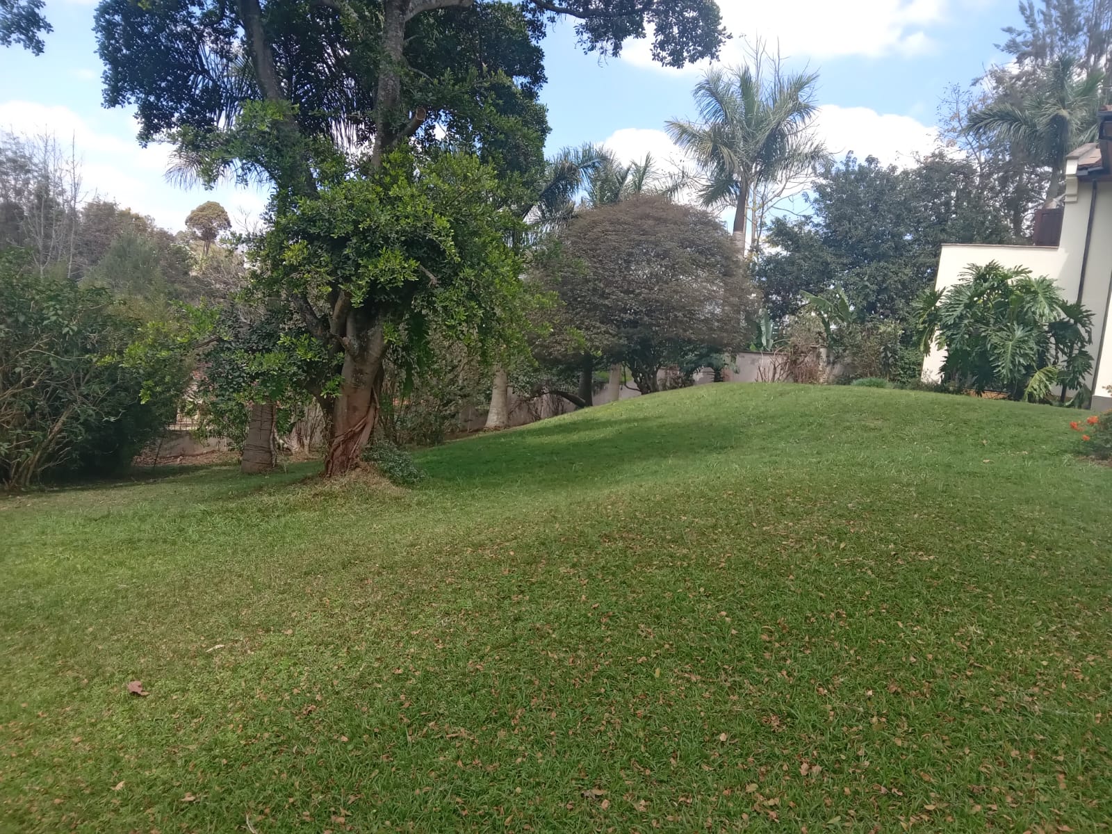 5Br house available in Kitsuru