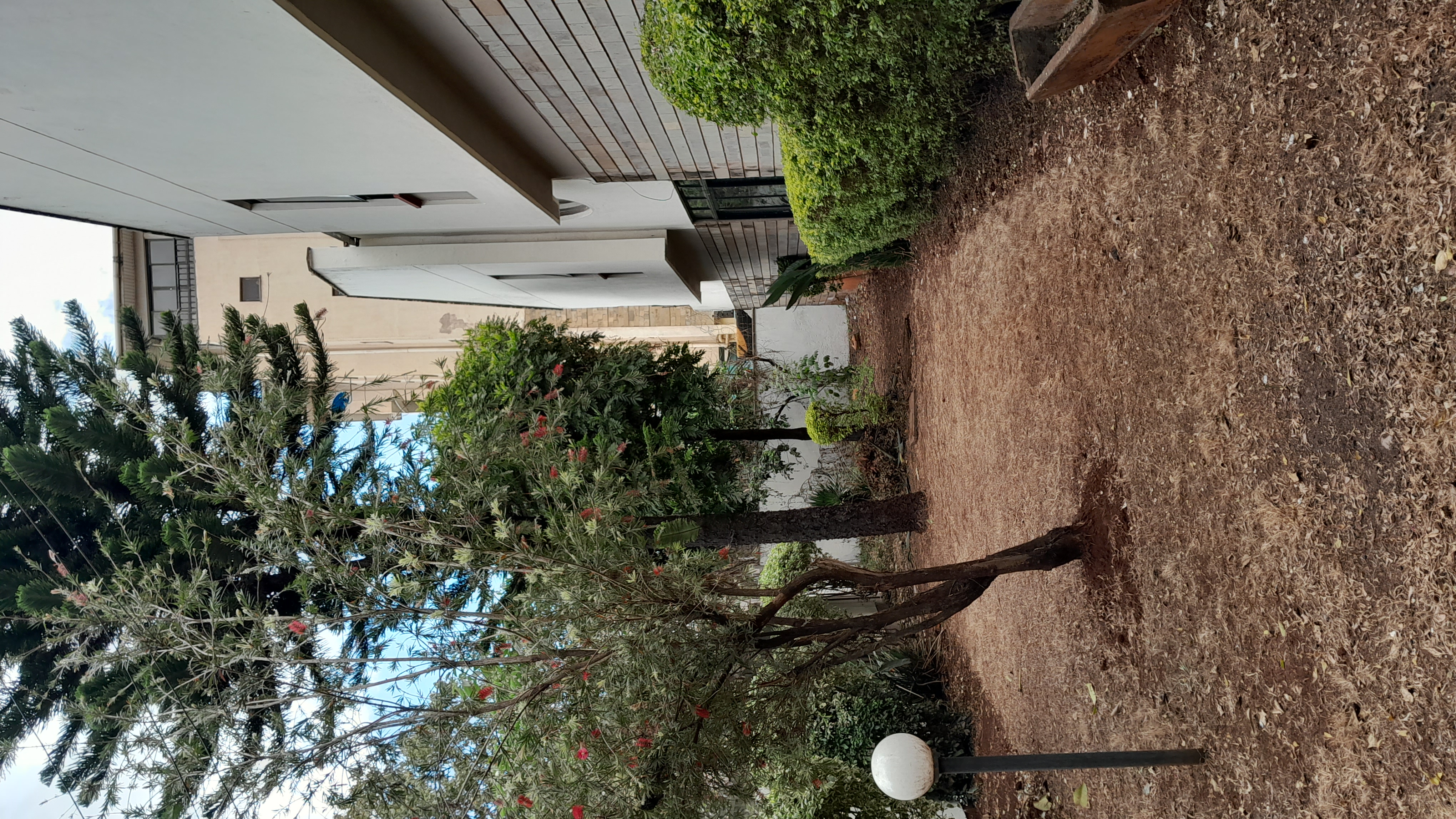 5 Bedroom Townhouse for rent in Lavington