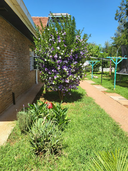 House for sale in Nanyuki