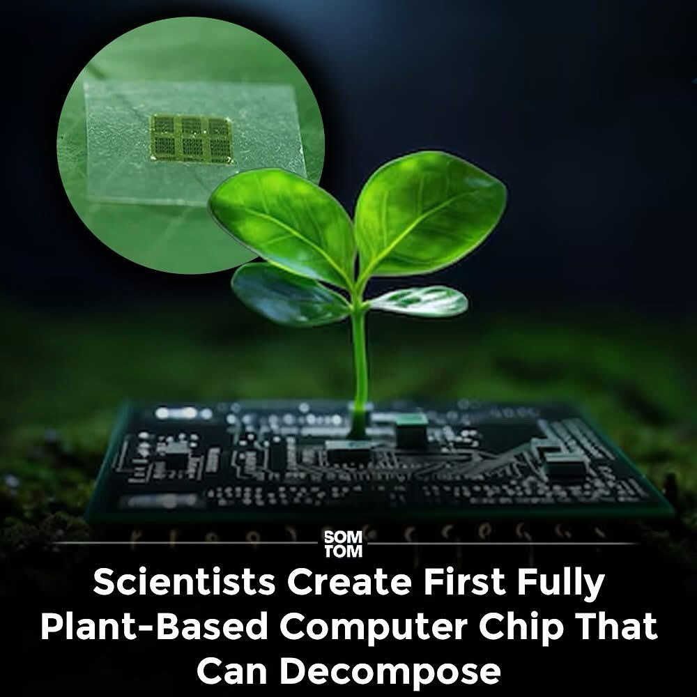 A Biodegradable Computer Chip That Performs Surprisingly Well