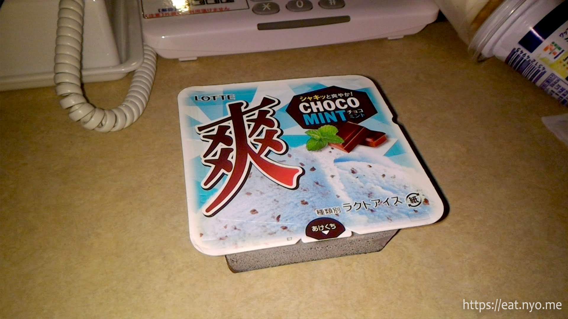 Choco Mint Ice Cream