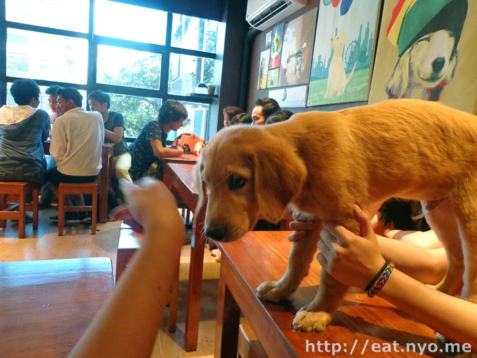 Barkin' Blends Dog Cafe