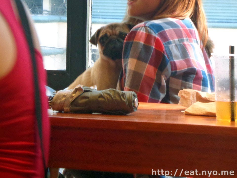 Barkin' Blends Dog Cafe