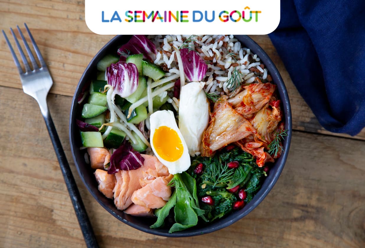Seazon Le Bibimbap Au Saumon De Pierre Sang