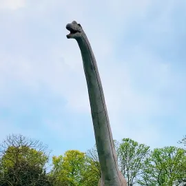 🦕