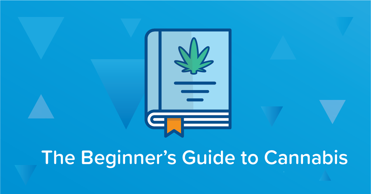 Dabs 101: Beginner's Guide to Cannabis Concentrates