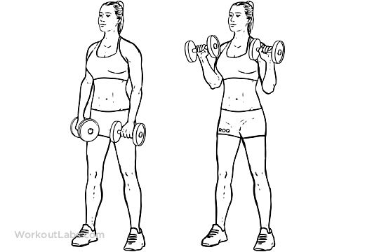 demonstration of dumbbell exercise
