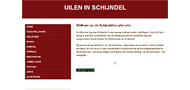 Uilen in Schijndel