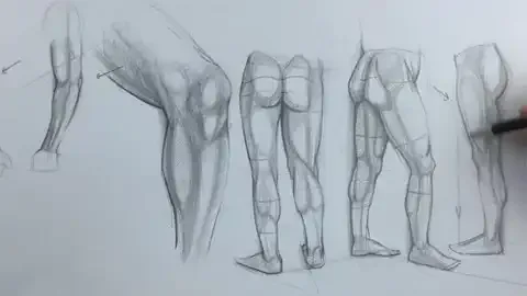 4271646 c21b