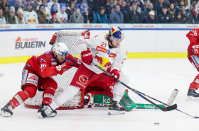 Red Bulls starten mit Heimspiel gegen den KAC in die neue ICE-Saison