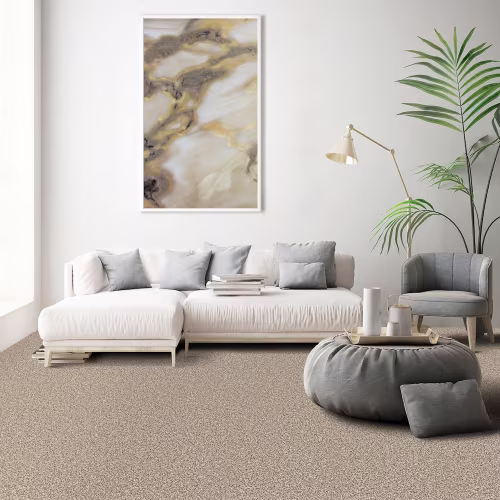 Image of living room with Revive Elk beige carpet