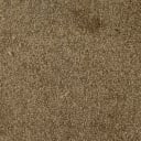 Weston Hill Mocha 12' Carpet