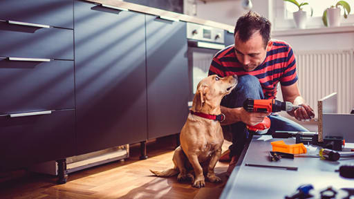 Pet Owner Installing Cabinets Pet Owner Installing Cabinets