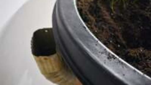 barrel lid barrel lid