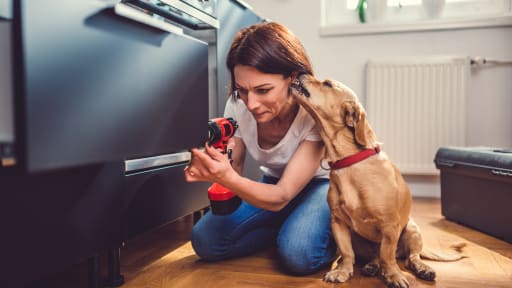 Pet-Friendly Storage