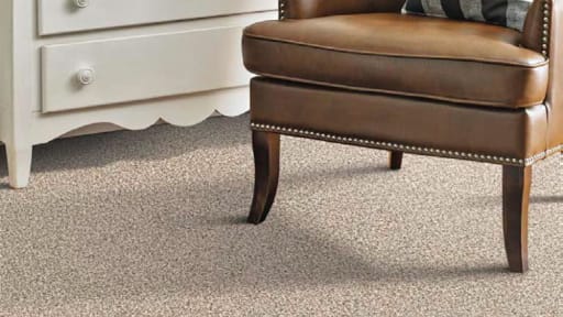 Carpet Carpet