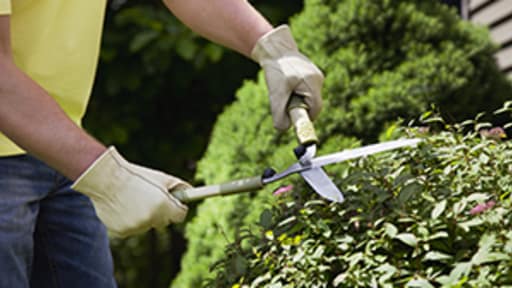 yard maintenance yard maintenance