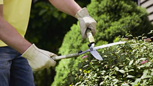 yard maintenance yard maintenance