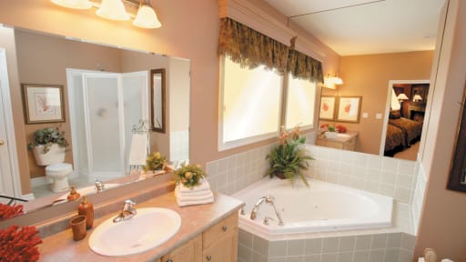 Bathroom Scene Bathroom Scene