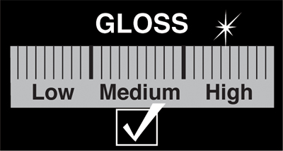 Medium Gloss Icon
