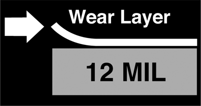 Wear Layer 12 Icon