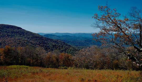 North Valley District