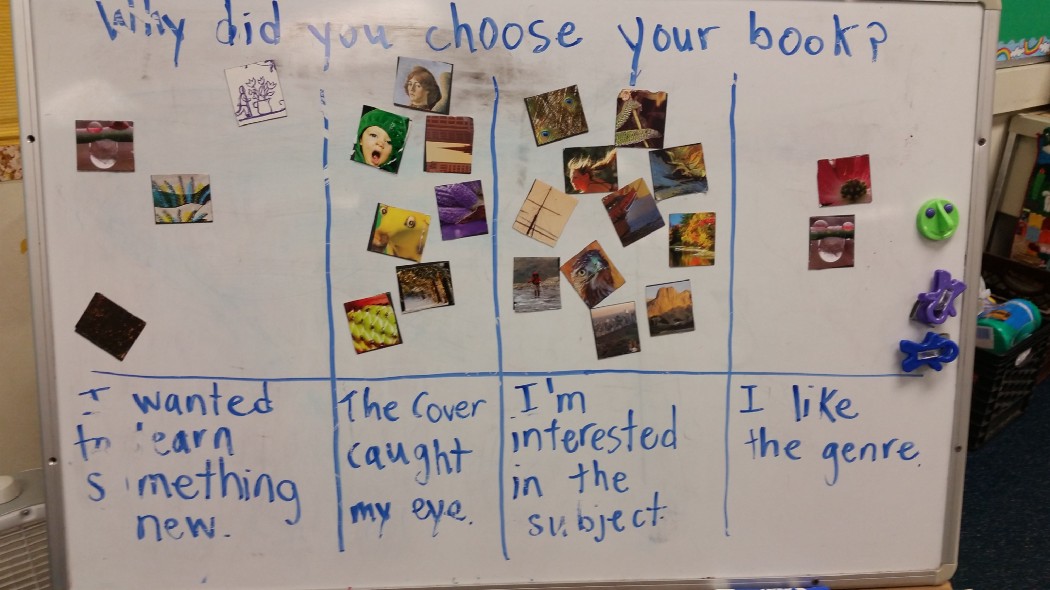 Board with multiple pictures