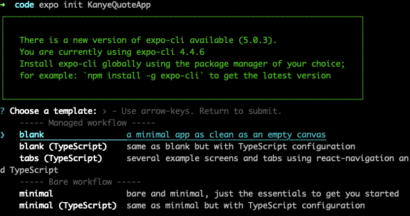 Expo code running in terminal