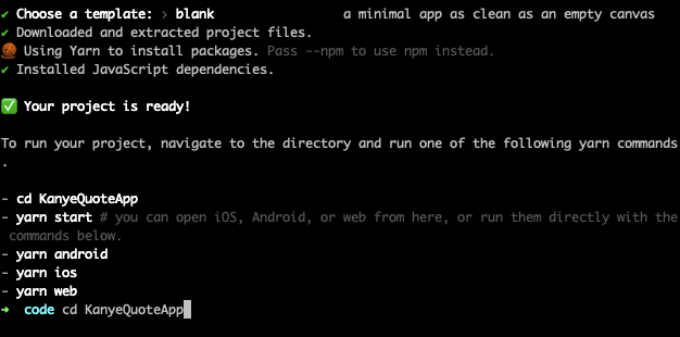 Expo code running in terminal
