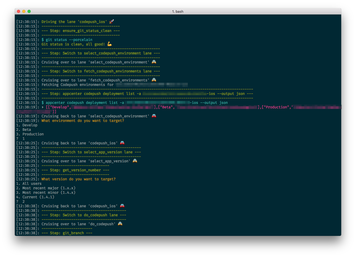 Code running in terminal