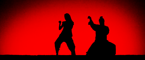 a gif of two people practing kung fu