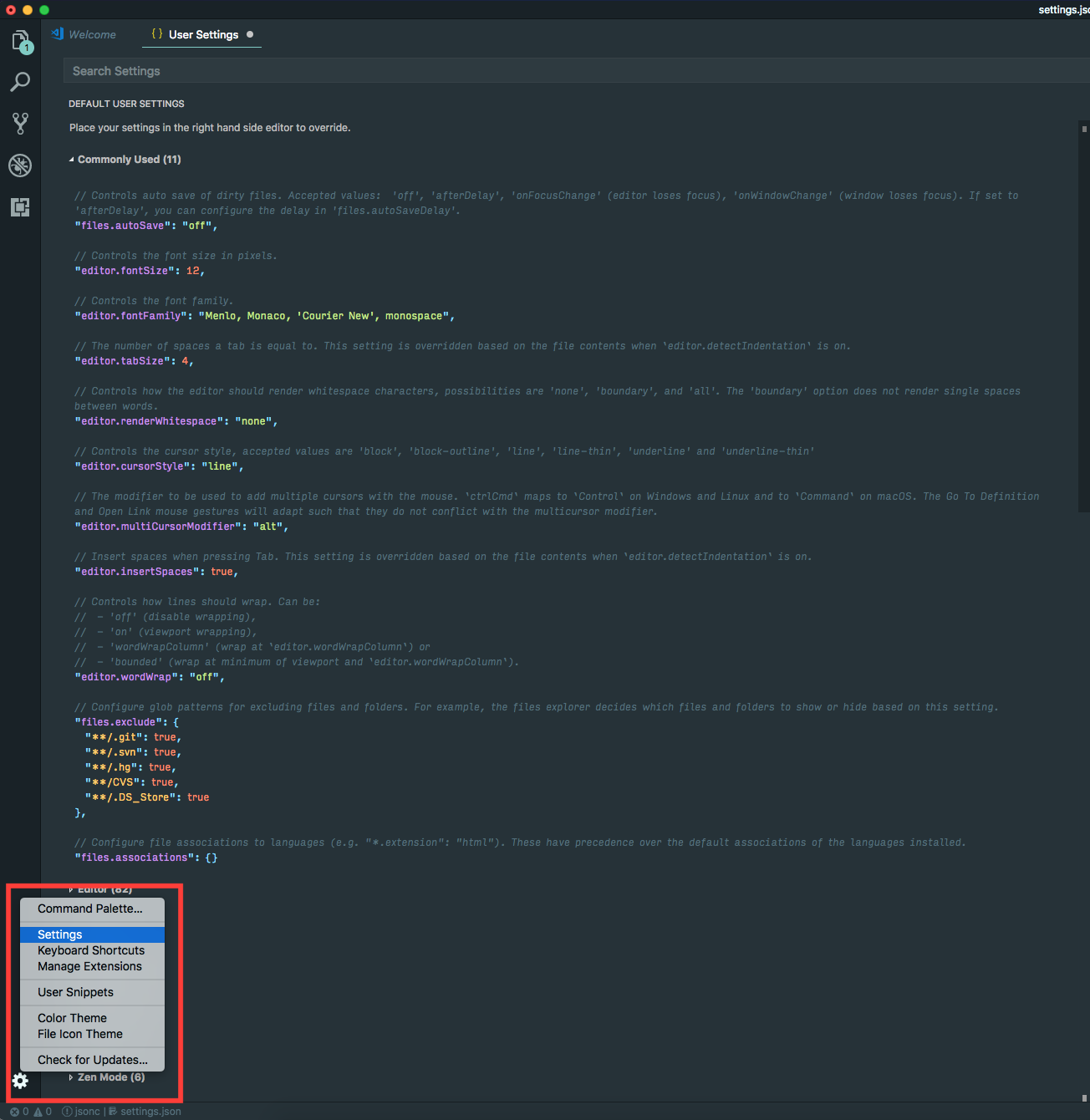 Visual Studio Code User Settings