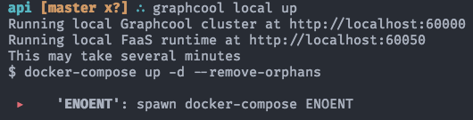An example of graphcool local command