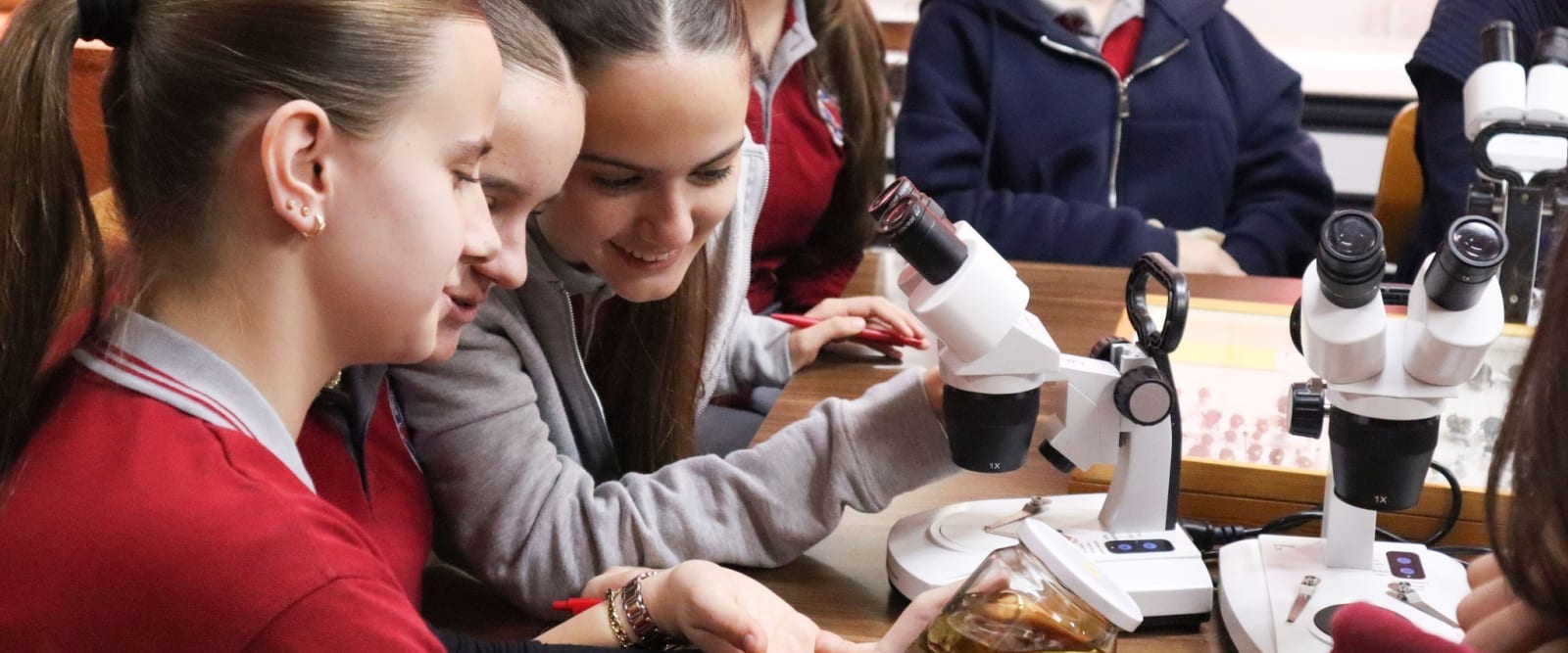 Nx&euml;n&euml;sit eksplorojn&euml; biodiversitetin n&euml; Laboratorin e Shkencave Natyrore dhe Biodiversitetit n&euml; Universitetin e Prizrenit
