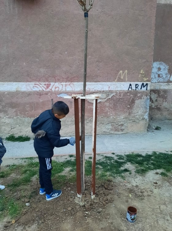 Intervenime të gjelbra në Lagjen Lakuriq