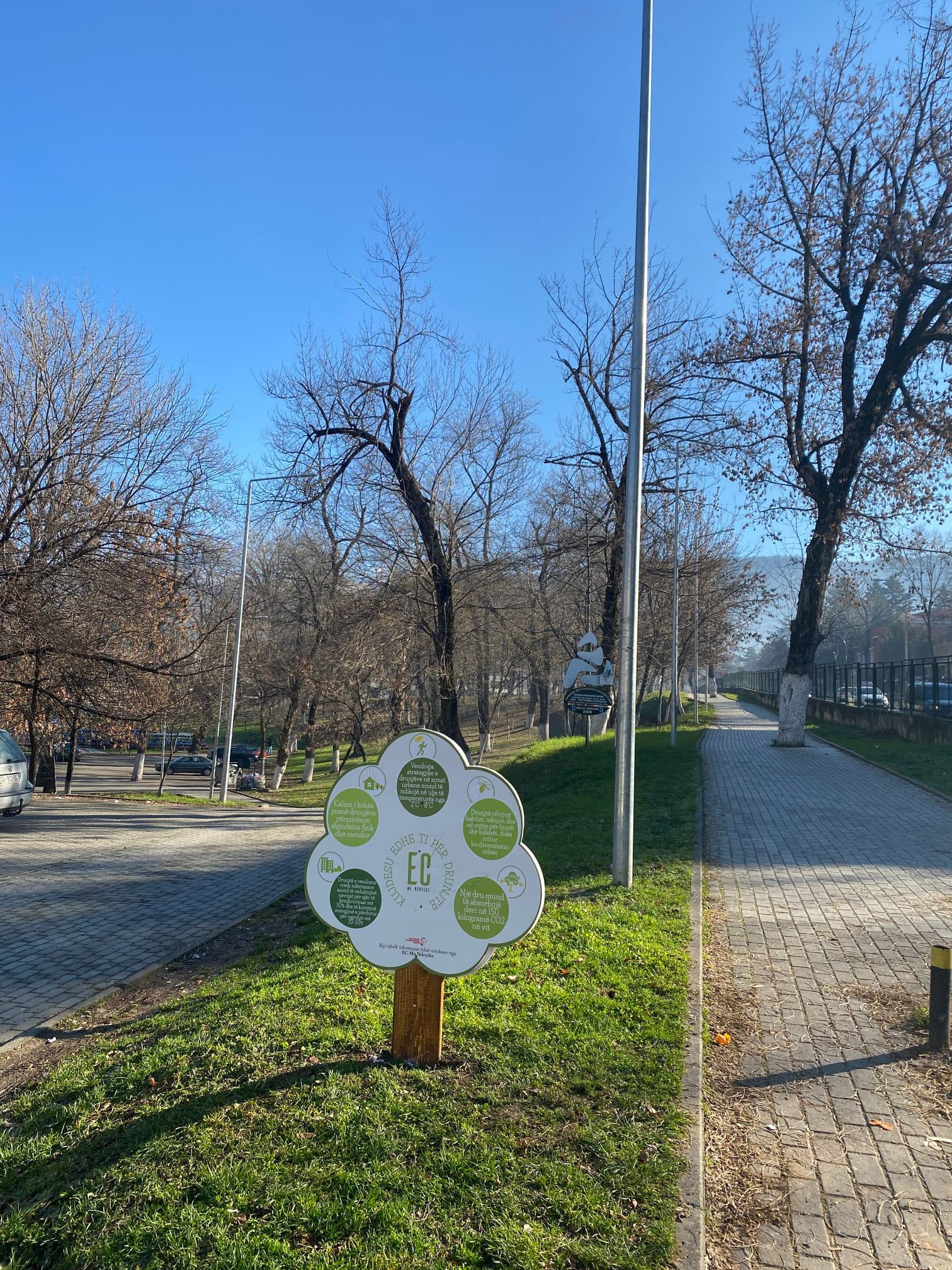 Tabela informuese rreth rëndësisë dhe përfitimeve që sjellin drunjtë për mjedisin e pastër në zonat urbane