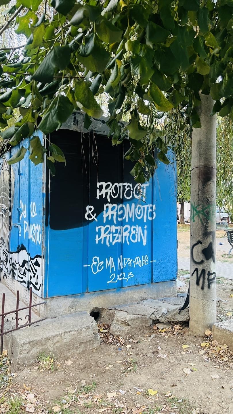 Realizohet intervenimi artisik “Protect & Promote Prizren”