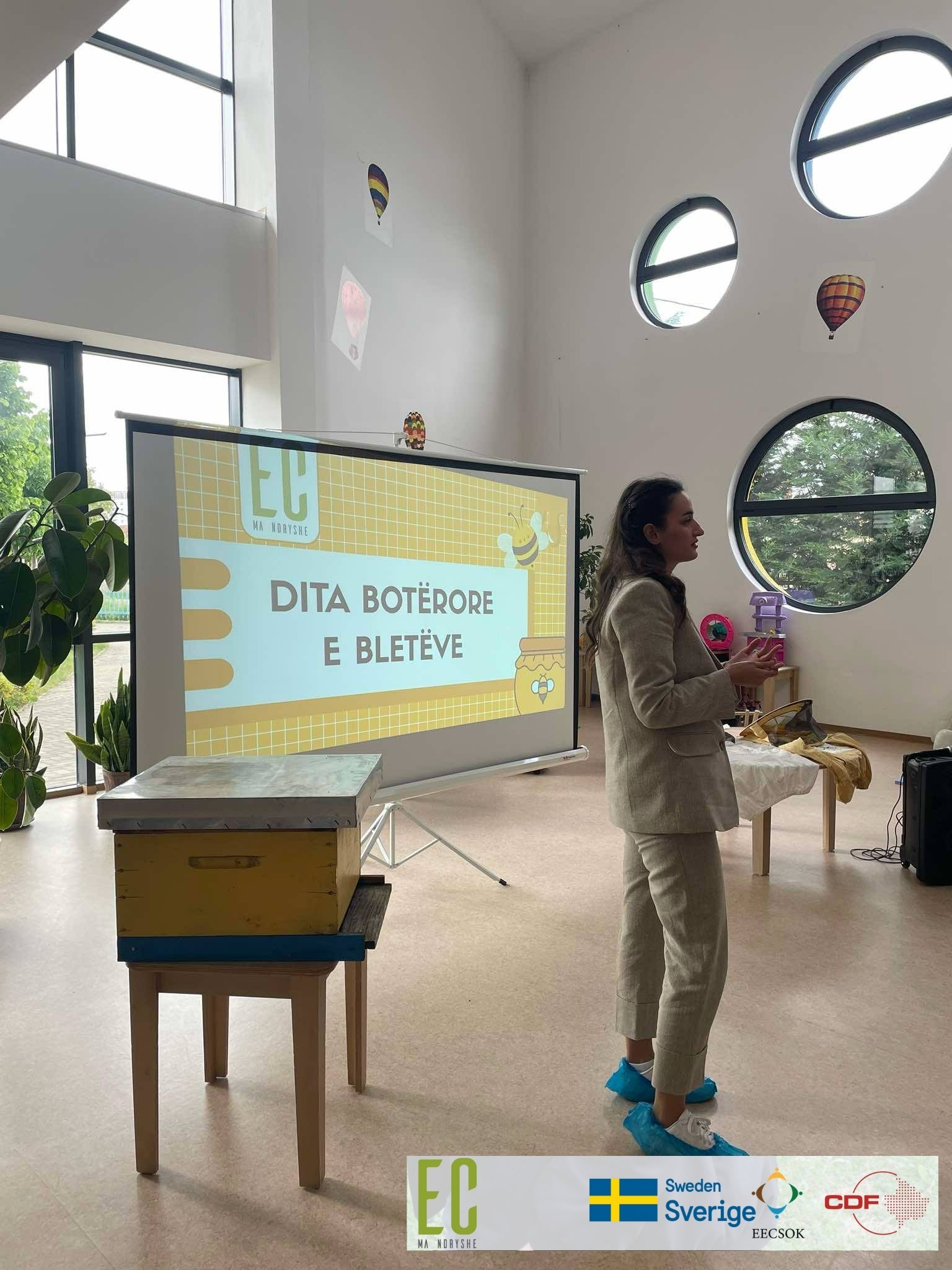 Dita Botërore e Bletëve shënohet me aktivitete edukative në Prishtinë dhe Prizren