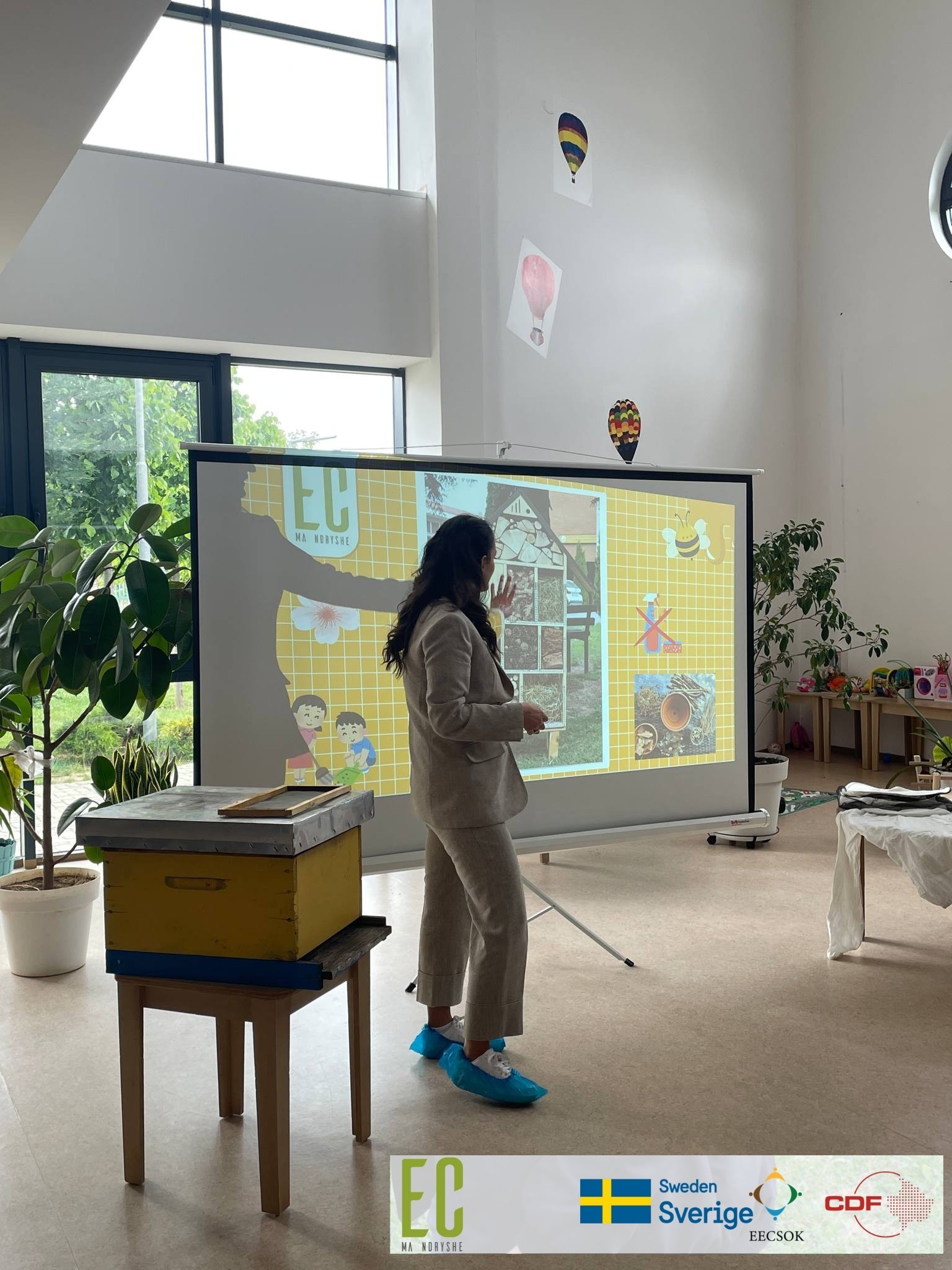 Dita Botërore e Bletëve shënohet me aktivitete edukative në Prishtinë dhe Prizren