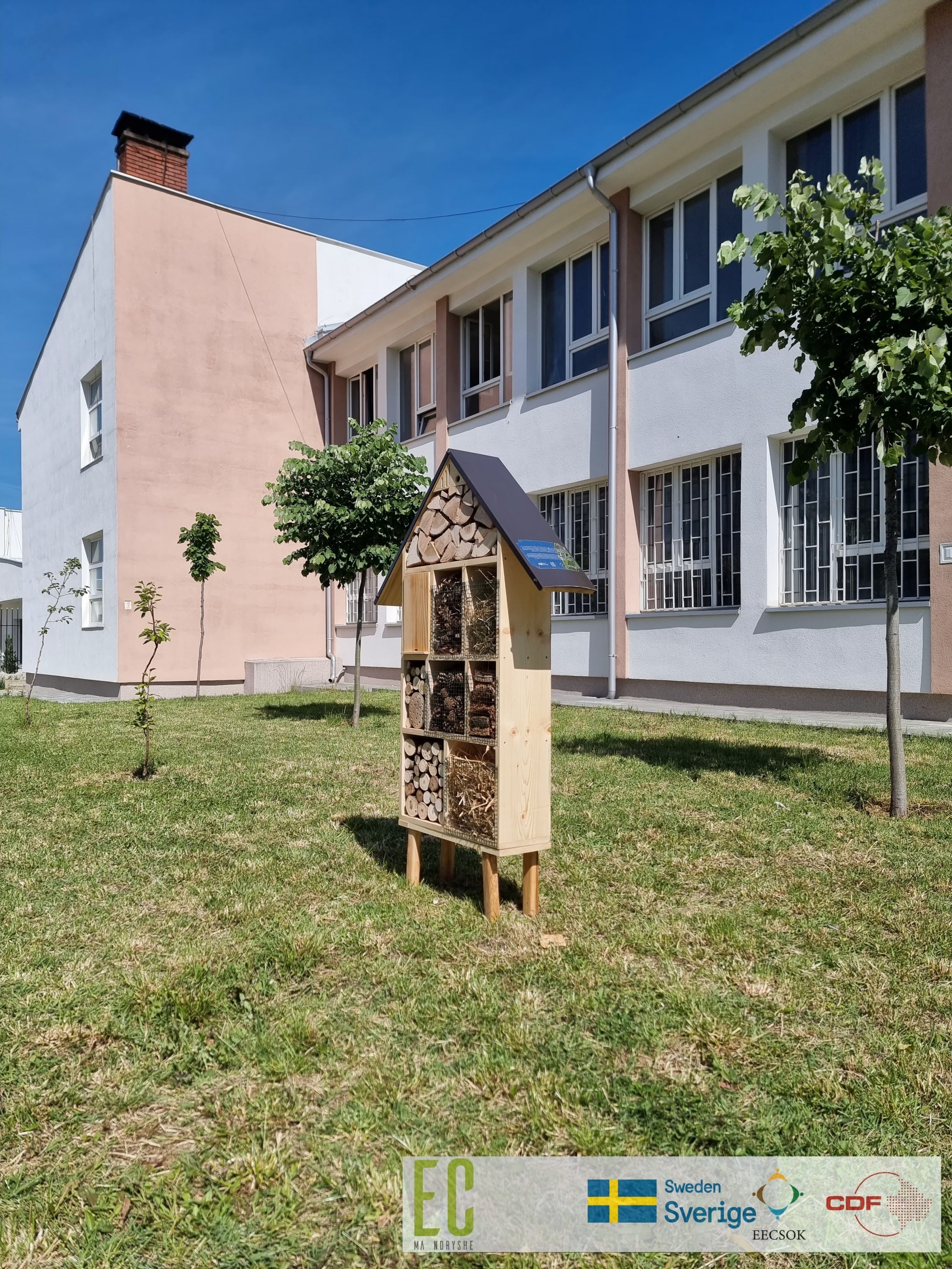 Dita Botërore e Bletëve shënohet me aktivitete edukative në Prishtinë dhe Prizren