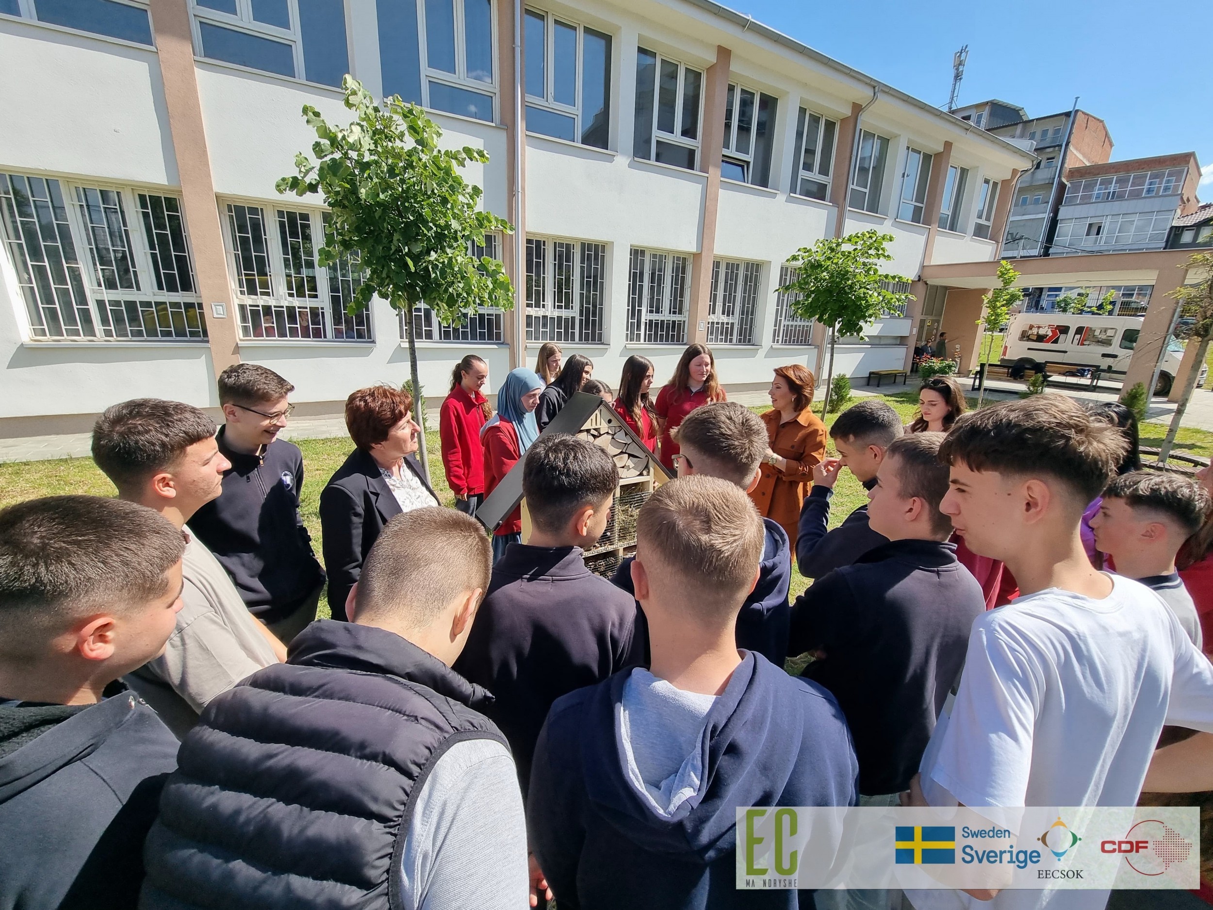 Dita Botërore e Bletëve shënohet me aktivitete edukative në Prishtinë dhe Prizren