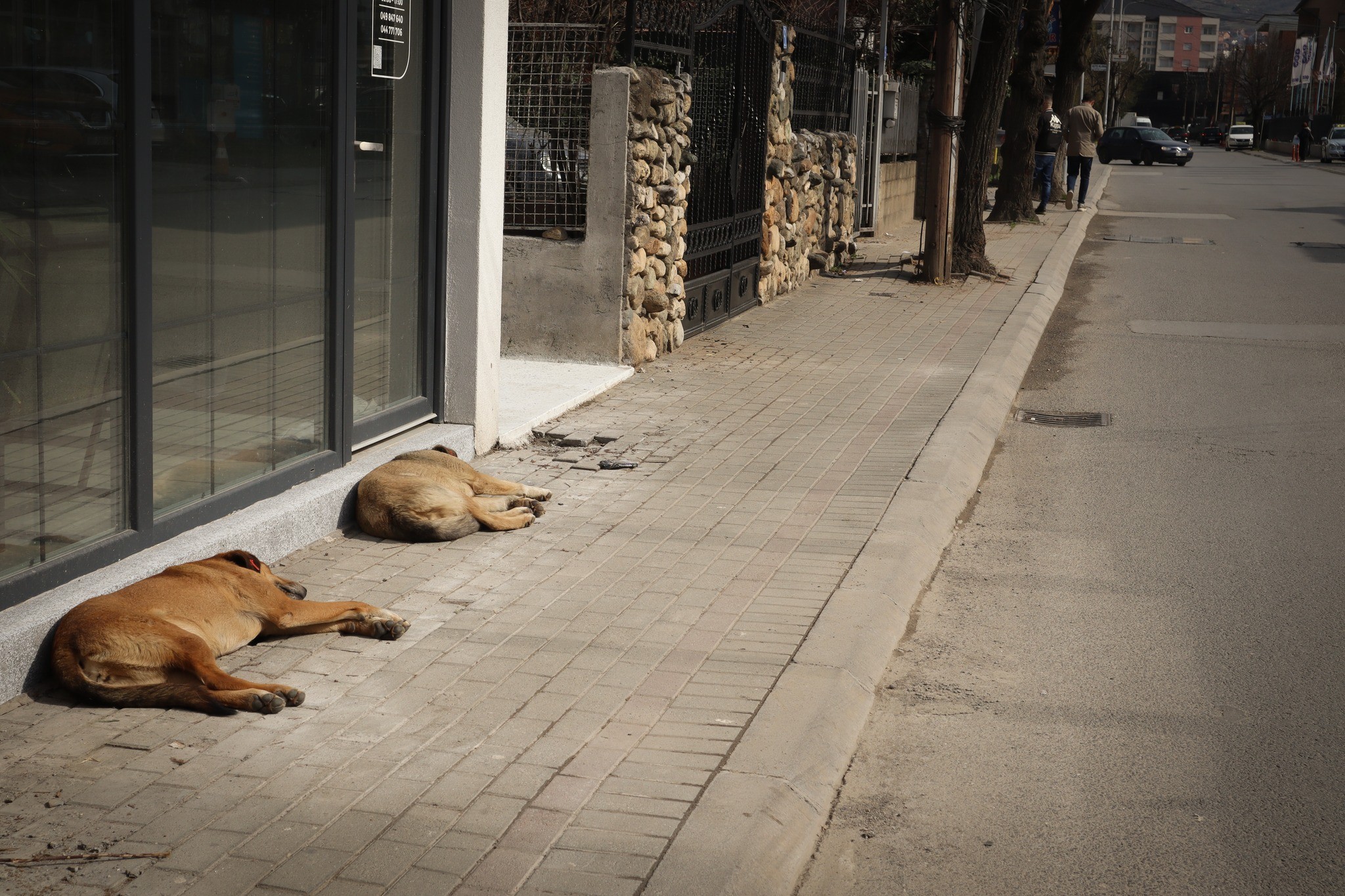EC Ma Ndryshe me nism&euml;n e re &ldquo;One Wish For My Street&rdquo; fillon mbledhjen e k&euml;rkesave t&euml; banor&euml;ve t&euml; lagjeve t&euml; Prizrenit