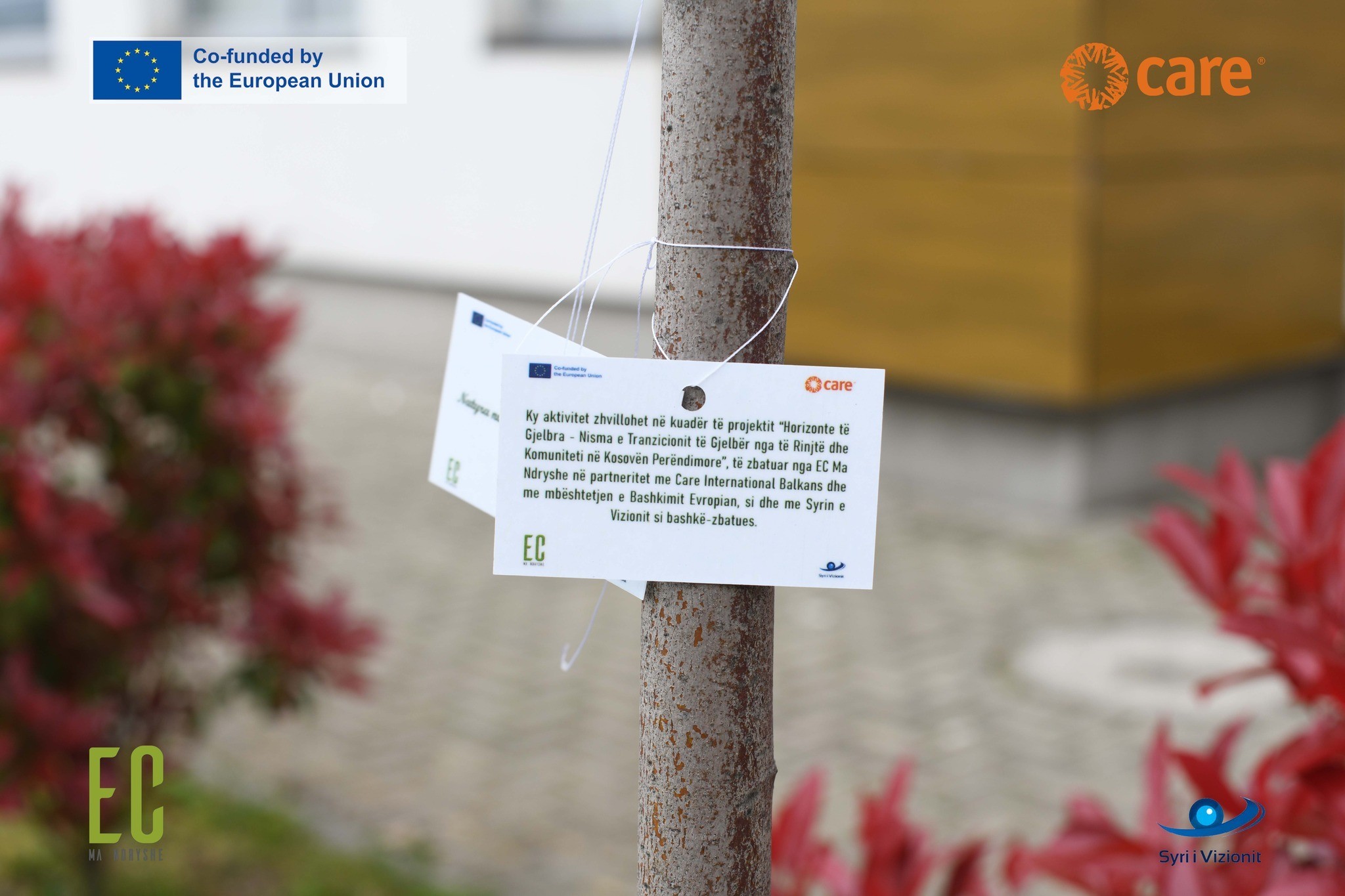 Nxënësit e shkollës “Luciano Motroni” në Prizren angazhohen për menaxhimin e qëndrueshëm të mbeturinave dhe gjelbërimin e hapësirave shkollore