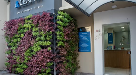 Decoração verde na Ceapia