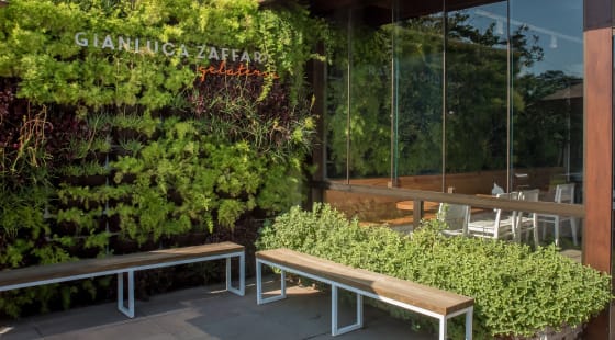 Decoração verde Gianluca Zaffari
