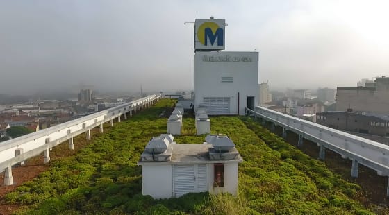 Terraço de um prédio com plantas